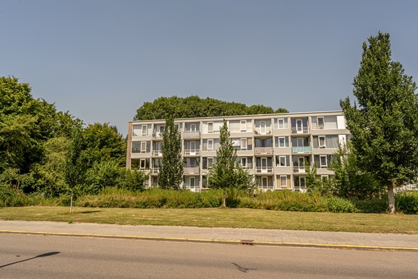 Medium property photo - Wilbertoord 253, 3079 JS Rotterdam